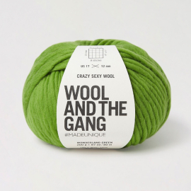 Crazy Sexy Wool - Wonderland Green (0 in stock) (Out of Stock)